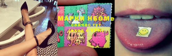 прущие грибы Щучье