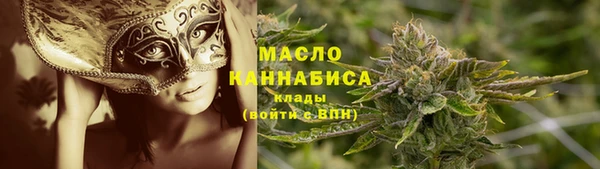 прущие крисы Ельня