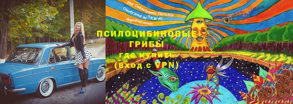 ПСИЛОЦИБИНОВЫЕ ГРИБЫ Елабуга