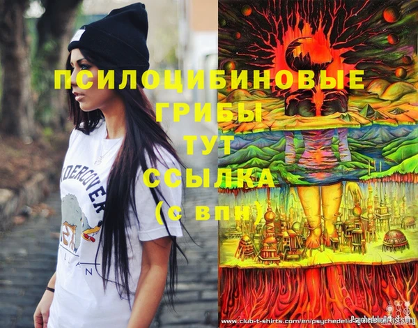 прущие грибы Щигры