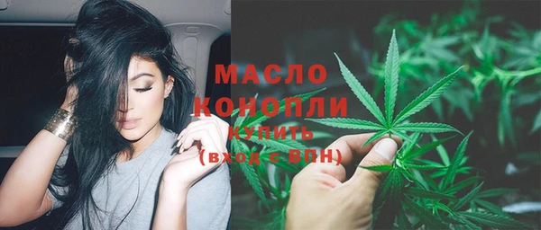 прущие крисы Ельня