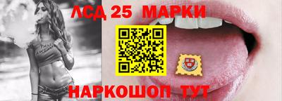 spice Камышлов