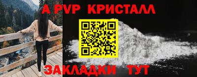 spice Камышлов