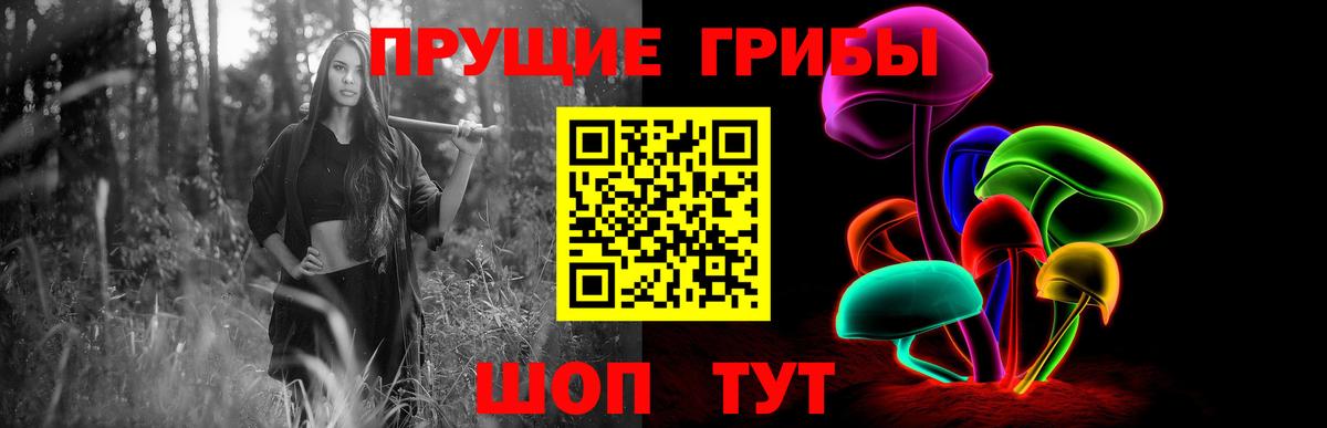 Галлюциногенные грибы GOLDEN TEACHER  Галлюциногенные грибы Psilocybine cubensis  Рузаевка 